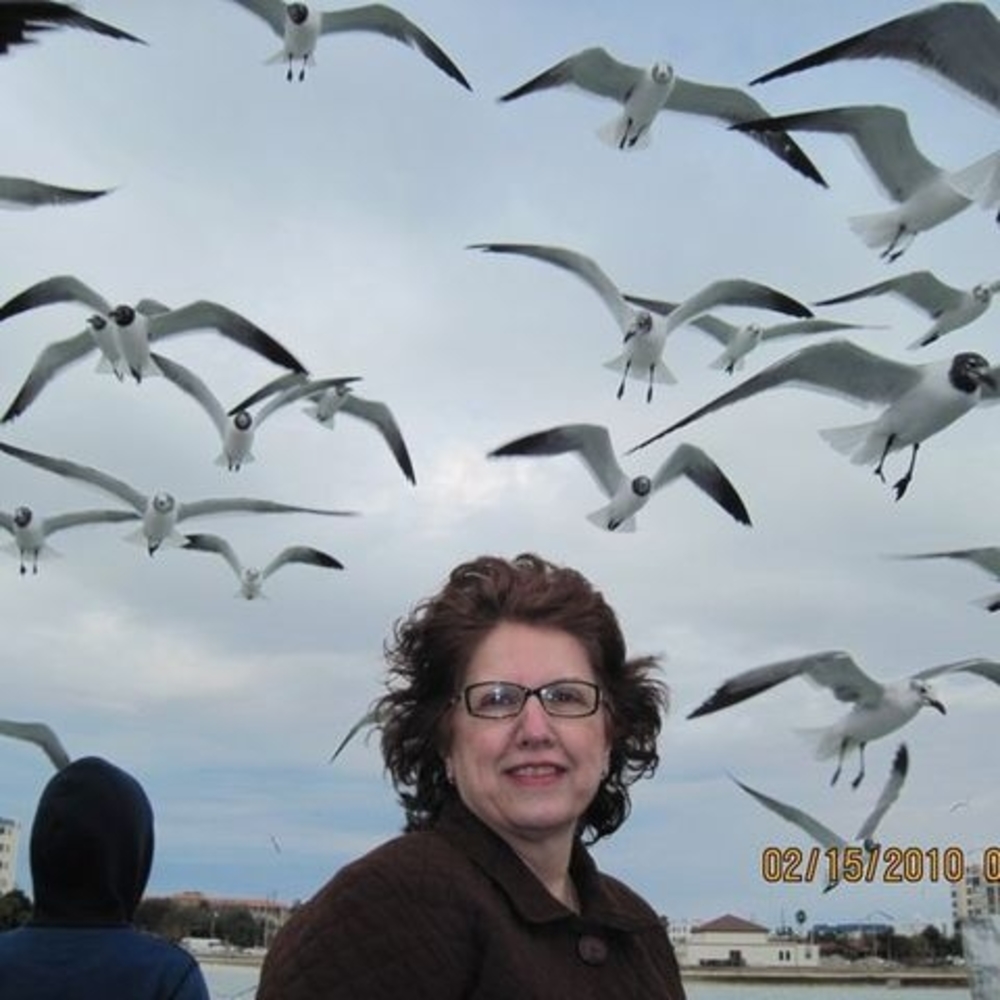 Meet your Posher, Susan